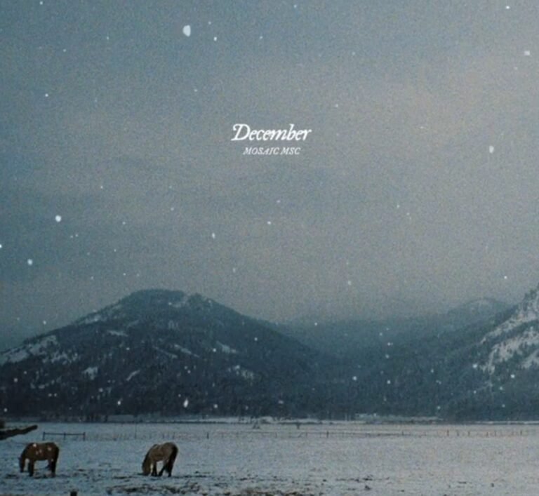 Mosaic MSC Releases ‘December’