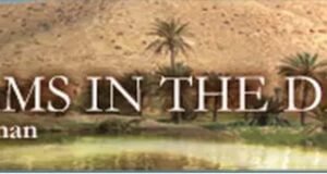 Streams In The Desert Devotion 19 February 2022 – Pruned to Yield Fruit Stream in the desert