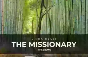 LINDA BOLES RELEASES “THE MISSIONARY” LINDA BOLES RELEASES "THE MISSIONARY"