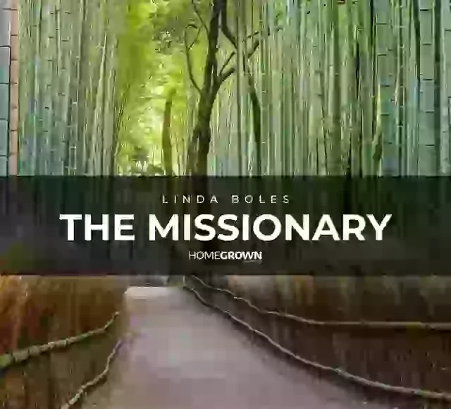 LINDA BOLES RELEASES "THE MISSIONARY"